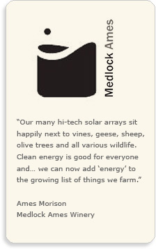medlock testimonial